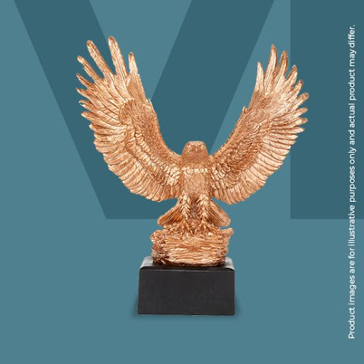 Image of the Eagle Cup VII trophy